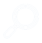 Search Icon
