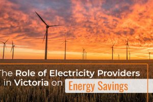 The Role of Electricity Providers in Victoria on Energy Savings